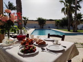 Villa Alaya - Luxury Villa with private pool Partanna